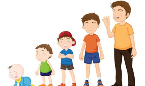 Growth Charts and Milestones: Tracking a Child’s Development Without Panic